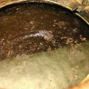 ČZ 125 typ 453 z roku 1961 - Čištění nádrže 109 ČZ 125 typ 453 z roku 1961 - Čištění nádrže 104