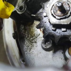 Jawa 50 typ 555 z roku 1959 - První důkladná prohlídka 31 Jawa 50 typ 555 z roku 1959 - První důkladná prohlídka 31