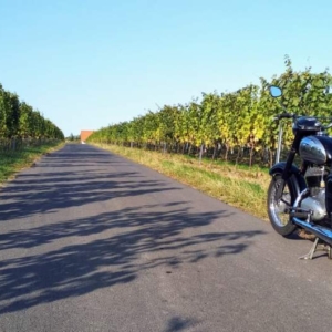 ČZ 250 typ 455 z roku 1961 - Nová nádrž 13 ČZ 250 typ 455 z roku 1961 - Nová nádrž 13