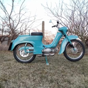 Jawa 50 typ 555 z roku 1959 - Po restaurování 335 Jawa 50 typ 555 z roku 1959 - Po restaurování 335