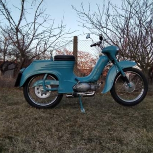 Jawa 50 typ 555 z roku 1959 - Po restaurování 336 Jawa 50 typ 555 z roku 1959 - Po restaurování 336