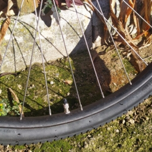 Bicykl ČZ - Hotová kola pánská verze 65 Bicykl ČZ - Hotová kola pánská verze 65