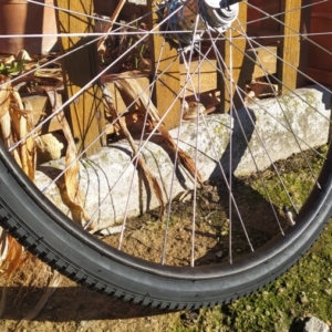 Bicykl ČZ - Hotová kola pánská verze 66 Bicykl ČZ - Hotová kola pánská verze 66