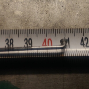 Bicykl ČZ - Pneu a špice 44 Bicykl ČZ - Pneu a špice 44