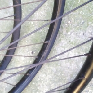 Bicykl ČZ - Po ošetření 39 Bicykl ČZ - Po ošetření 39