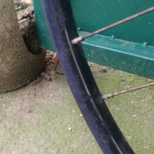 Bicykl ČZ - Před ošetřením 26 Bicykl ČZ - Před ošetřením 26