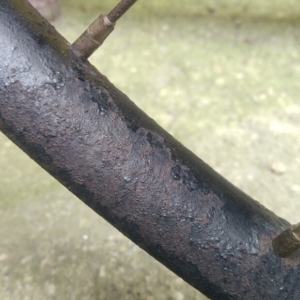 Bicykl ČZ - Před ošetřením 35 Bicykl ČZ - Před ošetřením 35