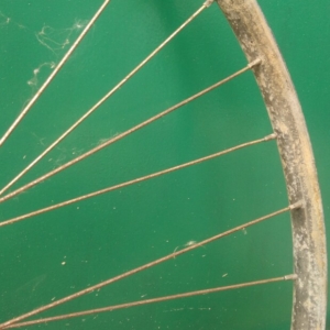 Bicykl ČZ - Před ošetřením 20 Bicykl ČZ - Před ošetřením 20