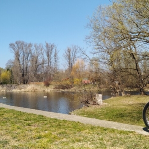 Jawa 50 typ 555 z roku 1959 - Jaro 2022 - První projížďka 38 Jawa 50 typ 555 z roku 1959 - Jaro 2022 - První projížďka 38