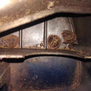 ČZ 175 typ 477 z roku 1970 - Filtrbox 138 ČZ 175 typ 477 z roku 1970 - Filtrbox 138