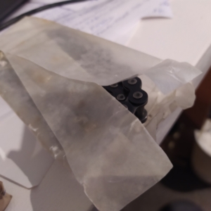 ČZ 125 typ 453 z roku 1961 - Skládání spojky 265 ČZ 125 typ 453 z roku 1961 - Skládání spojky 265