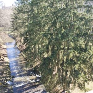 ČZ 125 typ 453 z roku 1961 - Hráz Jevišovice 78 ČZ 125 typ 453 z roku 1961 - Hráz Jevišovice 78