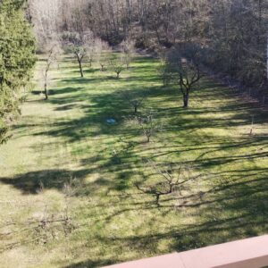 ČZ 125 typ 453 z roku 1961 - Hráz Jevišovice 85 ČZ 125 typ 453 z roku 1961 - Hráz Jevišovice 85