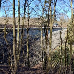 ČZ 125 typ 453 z roku 1961 - Hráz Jevišovice 71 ČZ 125 typ 453 z roku 1961 - Hráz Jevišovice 71