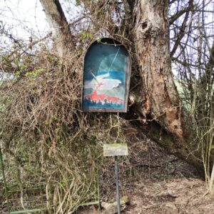 ČZ 125 typ 453 z roku 1961 - Rozhledna Anička 97 ČZ 125 typ 453 z roku 1961 - Rozhledna Anička 97