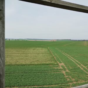 ČZ 125 typ 453 z roku 1961 - Rozhledna Anička 94 ČZ 125 typ 453 z roku 1961 - Rozhledna Anička 94