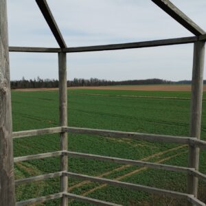 ČZ 125 typ 453 z roku 1961 - Rozhledna Anička 96 ČZ 125 typ 453 z roku 1961 - Rozhledna Anička 96