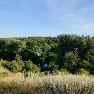 Jawa 50 typ 555 z roku 1959 - Obhlídka po okolí 14 Jawa 50 typ 555 z roku 1959 - Obhlídka po okolí 14