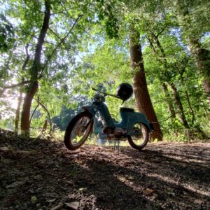 Jawa 50 typ 555 z roku 1959 - Obhlídka po okolí 26 Jawa 50 typ 555 z roku 1959 - Obhlídka po okolí 26