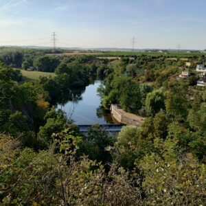 Jawa 50 typ 555 z roku 1959 - Obhlídka po okolí 10 Jawa 50 typ 555 z roku 1959 - Obhlídka po okolí 10