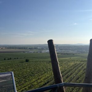 ČZ 125 typ 453 z roku 1961 - Rozhledna U Křížku a rozhledna Slunečná 184 ČZ 125 typ 453 z roku 1961 - Rozhledna U Křížku a rozhledna Slunečná 184