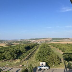 ČZ 125 typ 453 z roku 1961 - Rozhledna U Křížku a rozhledna Slunečná 181 ČZ 125 typ 453 z roku 1961 - Rozhledna U Křížku a rozhledna Slunečná 181