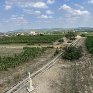 ČZ 125 typ 453 z roku 1961 - Rozhledna U Křížku a rozhledna Slunečná 173 ČZ 125 typ 453 z roku 1961 - Rozhledna U Křížku a rozhledna Slunečná 173