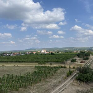 ČZ 125 typ 453 z roku 1961 - Rozhledna U Křížku a rozhledna Slunečná 174 ČZ 125 typ 453 z roku 1961 - Rozhledna U Křížku a rozhledna Slunečná 174