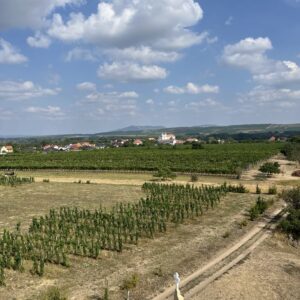 ČZ 125 typ 453 z roku 1961 - Rozhledna U Křížku a rozhledna Slunečná 175 ČZ 125 typ 453 z roku 1961 - Rozhledna U Křížku a rozhledna Slunečná 175