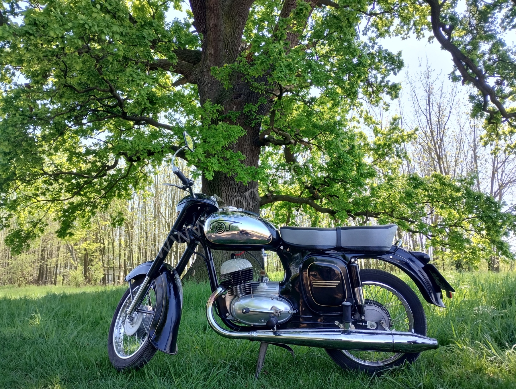 ČZ 125 typ 453 z roku 1961 - Dub u Daníže, Slup 60 ČZ 125 typ 453 z roku 1961 - Dub u Daníže, Slup 60