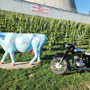 ČZ 125 typ 453 z roku 1961 - Socha Jaderná kráva, JE Dukovany, Lipňany 91 ČZ 125 typ 453 z roku 1961 - Socha Jaderná kráva, JE Dukovany, Lipňany 91